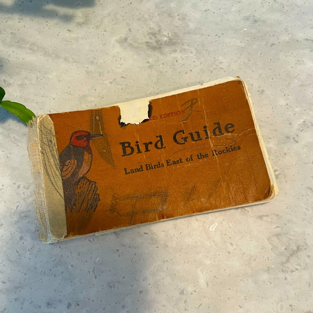 1922 Bird Guide